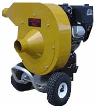 cv8 (1)